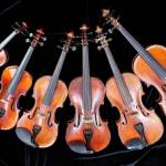 Elegir el tamaño del violín: Consejos prácticos