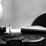 Comprar un violín 1/2 para principiantes: Violines destacados